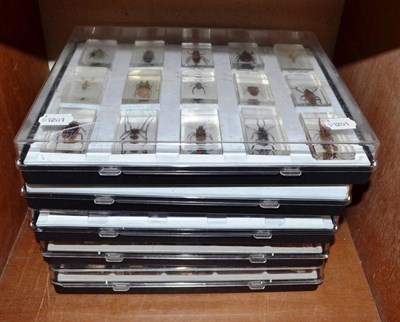 Lot 144 - Five plastic cased sets of insects and minerals