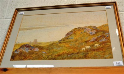 Lot 443 - Watercolour by Hubert Herbert Coutts(1851-1921) depicting sheep on a hill side on lona, signed