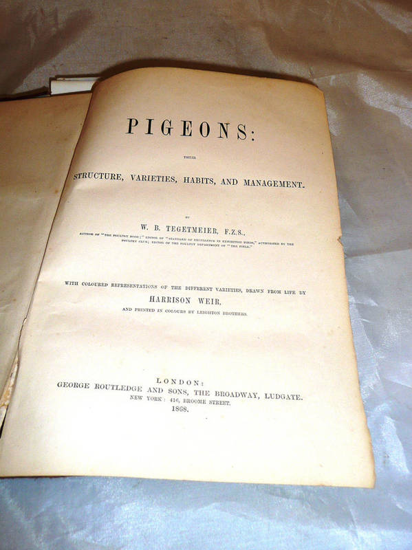 Lot 68 - Tegetmeier (W.B.), Pigeons: Their Structure, Varieties .., 1868, chromolitho plates, original...