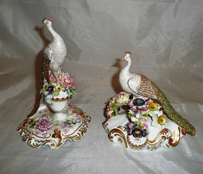 Lot 92 - Two Royal Crown Derby gilt decorated and flower encrusted peacocks