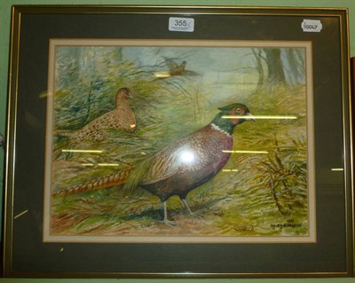 Lot 355 - Dorothy Margaret and Elizabeth Mary Alderson, cock and hen pheasant and companion grouse, 1981...