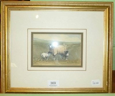 Lot 369 - Brian Irving 'Sheep and Lambs'