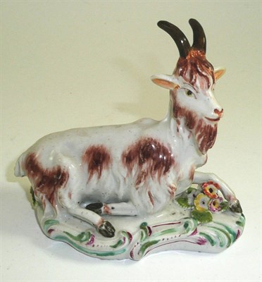 Lot 82 - # A Derby porcelain figure of a recumbent goat, circa 1760, on a scroll moulded base, 13cm long