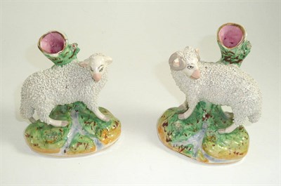 Lot 254 - A pair of Staffordshire spill vases modelled as sheep