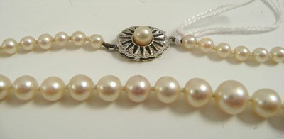 Lot 355 - A single strand of cultured pearls