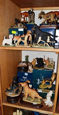 Lot 98 - Border Fine Arts and other dogs and cats including wire haired fox terrier, sheepdog, golden...