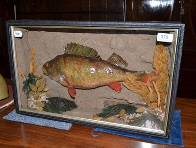 Lot 379 - A cased perch