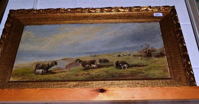 Lot 501 - An unsigned oil on board of a coastal landscape with sheep