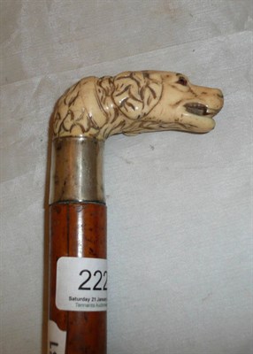 Lot 222 - A walking stick with a carved ivory handle in the form of a dog's head