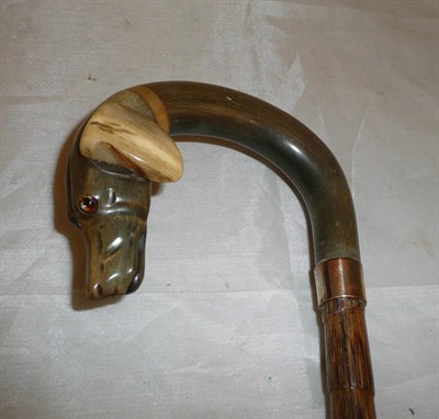 Lot 223 - A walking stick with a carved horn handle in the form of a dog's head