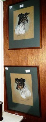 Lot 424 - Marjorie Cox, 'Tim' and 'Button', two chalk sketches of Terriers