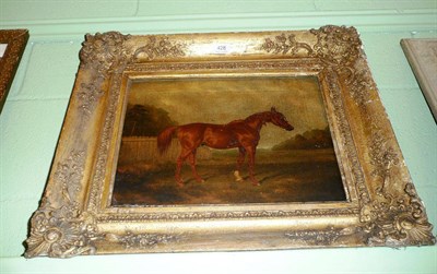 Lot 428 - English School, 19th century, portrait of a chestnut stallion, oil on canvas