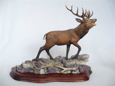 Lot 1001 - Border Fine Arts Red Stag 'Highland Majesty', model No. BO220 by Richard Roberts, 30.5cm high...