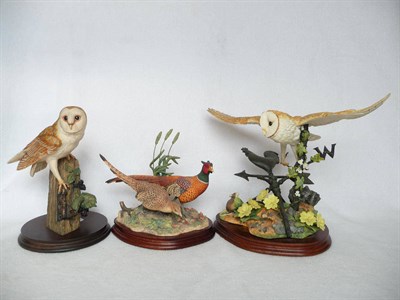 Lot 1015 - Border Fine Arts 'Flying barn Owl', model No. BO908 by Russell Willis, Ltd. edition No....