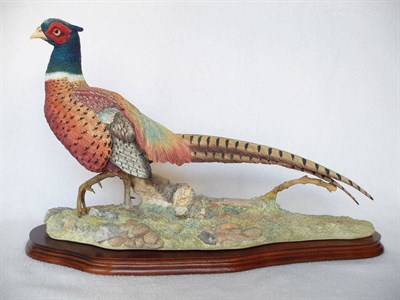 Lot 1016 - Border Fine Arts Cock Pheasant 'Autumn Glory', millennium model No. BO488 by Russell Willis,...