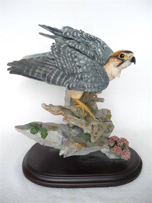 Lot 1017 - Country Artists model of a bird of prey 'Vision of the Wild' (Falcon?), 44.5cm high on wood base