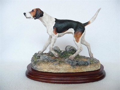 Lot 1024 - Border Fine Arts 'Foxhound' standing, style two, model No. B0733 by Margaret Turner, Ltd....