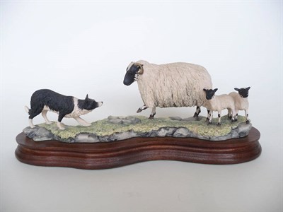 Lot 1031 - Border Fine Arts 'Black-Faced Ewe and Collie', model No. 104 by Ray Ayres, 10.8cm high on wood base