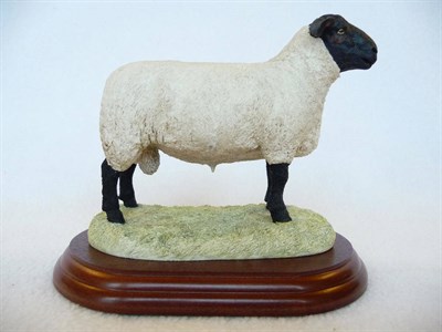 Lot 1039 - Border Fine Arts 'Suffolk Tup', style one, model No. B0196 by Ray Ayres, 13.3cm high on wood...