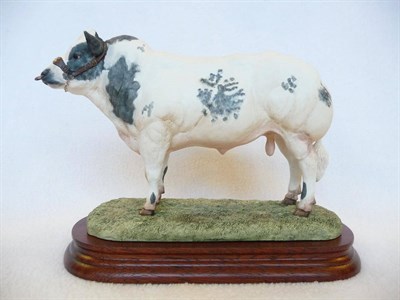 Lot 1041 - Border Fine Arts 'Belgian Blue Bull', style one, model No. B0406 by Ray Ayres, Ltd. edition No....