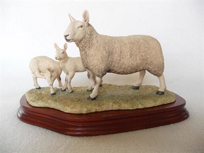 Lot 1043 - Border Fine Arts 'North Country Cheviot Ewe with Scotch Half-Bred Lambs', model No. L147 by Ray...