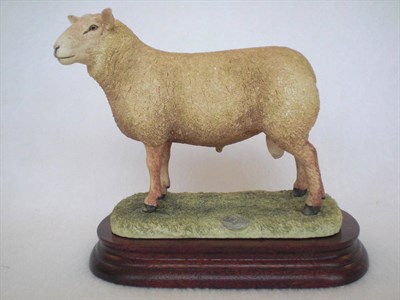 Lot 1044 - Border Fine Arts 'Charollais Ram', model No. B0774 by Ray Ayres, Ltd. edition No. 94/750, 15cm high