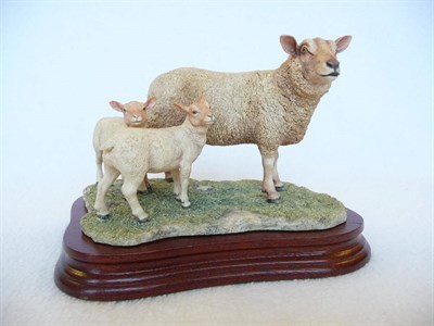 Lot 1045 - Border Fine Arts 'Charollais Ewe and Lambs', model No. L121 by Ray Ayres, Ltd. edition No. 559/750