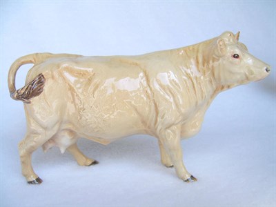 Lot 1072 - Beswick Charolais Cow, model No. 3075A, cream gloss, 12.7cm high