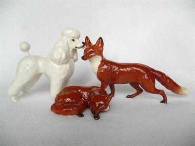 Lot 1083 - Two Beswick Foxes, models 1016A standing, 1017 lying curled, both gloss and a Beswick White Poodle