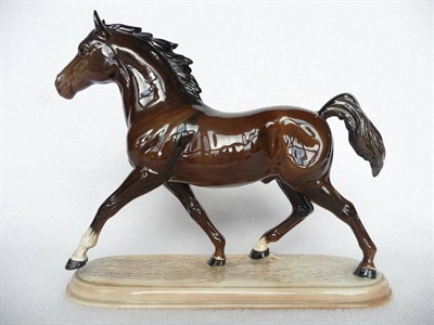 Lot 1095 - Beswick Arab Stallion, trotting ,model no. 2242, brown gloss, 21.6cm high on pottery base