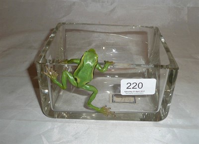 Lot 220 - Glass bowl with cold painted bronze frog