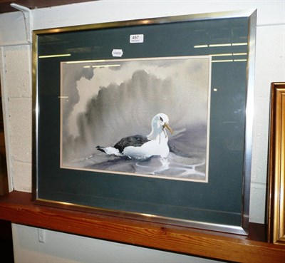 Lot 457 - A framed watercolour of a seagull