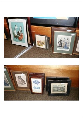 Lot 466 - Colour print "Pleasing Anticipations"; eight small sporting prints; four botanicle prints; a...