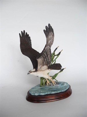 Lot 1008 - Border Fine Arts 'Osprey' style three, model No. BO987 by Ray Ayres, Ltd. edition No. 259/500, 29cm