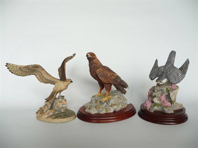 Lot 1010 - Border Fine Arts 'Golden Eagle' style one, model No. RB40; Peregrine Falcon 'The Stoop', model...