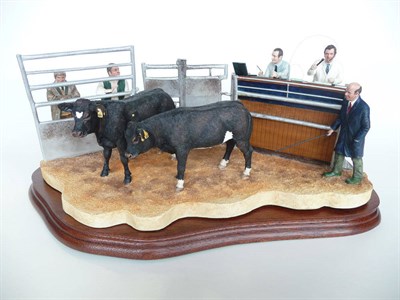 Lot 1040 - Border Fine Arts Limousin Cross 'Under The Hammer', black calves with white markings, model No....