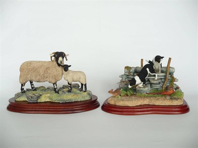 Lot 1042 - Two Border Fine Arts Groups 'Swaledale Ewe and Lamb' style one, model No. B0307 by Ray Ayres,...