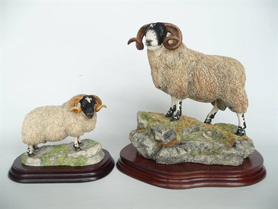 Lot 1045 - Border Fine Arts 'Blackie Tup', model No. BO354 by Ray Ayres, Ltd. edition No. 112/1750, 22.9cm...