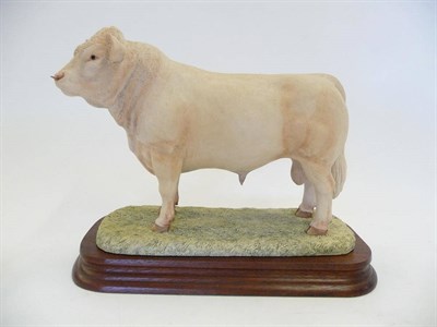 Lot 1046 - Border Fine Arts 'Charolais Bull' style one, model No. L112 by Ray Ayres, Ltd. edition No....