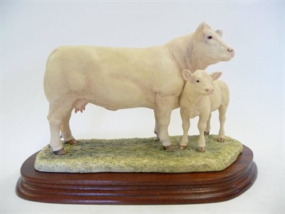 Lot 1047 - Border Fine Arts 'Charolais Cow and Calf' style one, model No. L137 by Ray Ayres, Ltd. edition...