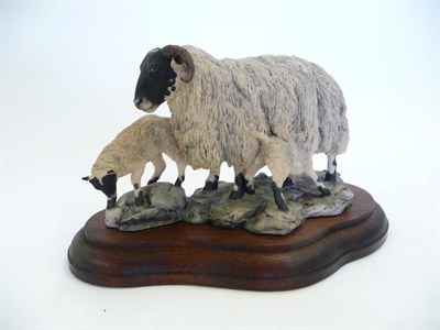 Lot 1048 - Border Fine Arts 'Blackfaced Ewe and Lambs' style one, model No. L25 by Mairi Laing Hunt, Ltd....