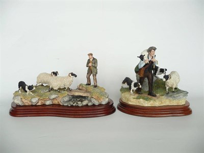 Lot 1056 - Two Border Fine Arts Sheep groups 'Steady Lad, Steady', model No. JH90 by Ray Ayres, Ltd....