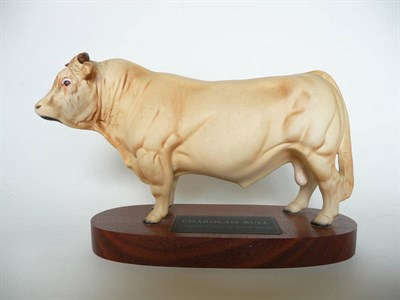 Lot 1065 - Beswick Charolais Bull on wood plinth, model No. A2463A, cream satin matt, 14cm high