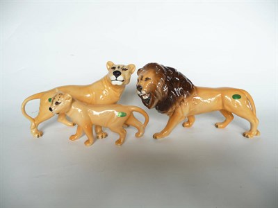 Lot 1078 - Beswick Lion facing left, model No. 2089; Lioness facing right, model No. 2097 and Lion Cub...