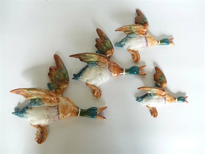 Lot 1081A - Four Beswick Flying Mallard Wall Plaques, models 596/1, 596/2, 596/3 and 596/4, largest 25.4cm...