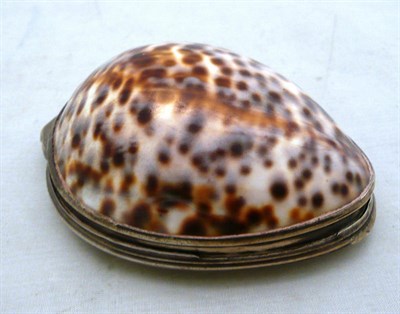 Lot 103 - George III white metal and cowrie shell snuff box, inscribed 'Joseph Pearcy'