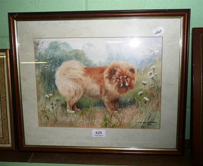 Lot 428 - Framed watercolour of a Pomeranian dog signed DM & EM Alderson