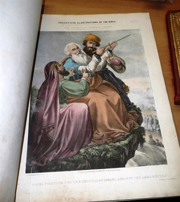 Lot 385 - Perceptive Illustrations of the Bible, Roake and Verty, folio, forty coloured plates, quarter cloth