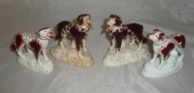 Lot 26 - A pair of English porcelain white and tan Newfoundland dogs and two other similar figures (4)