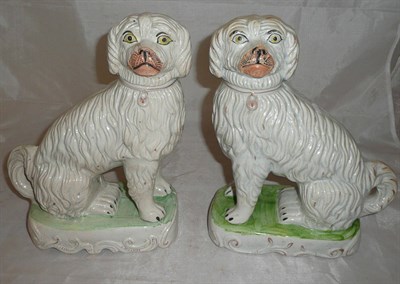 Lot 47 - A pair of Staffordshire dogs